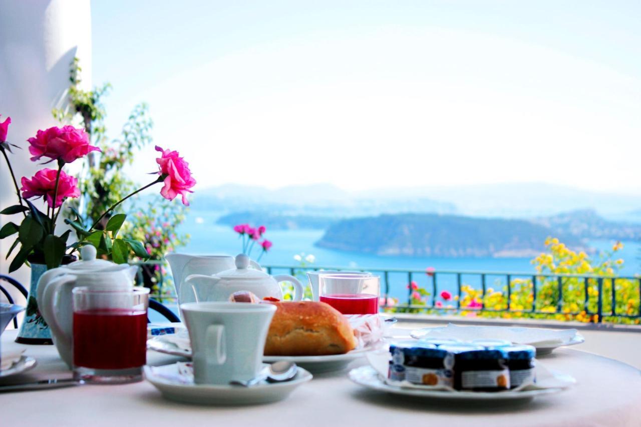 La Pergola Del Torchio Bed & Breakfast Ischia Exterior photo