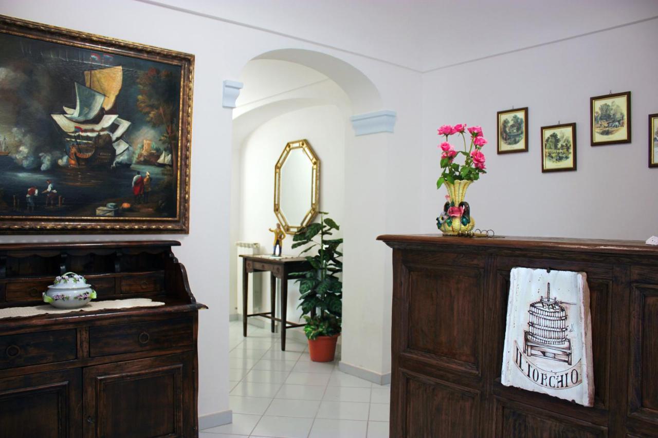 La Pergola Del Torchio Bed & Breakfast Ischia Exterior photo