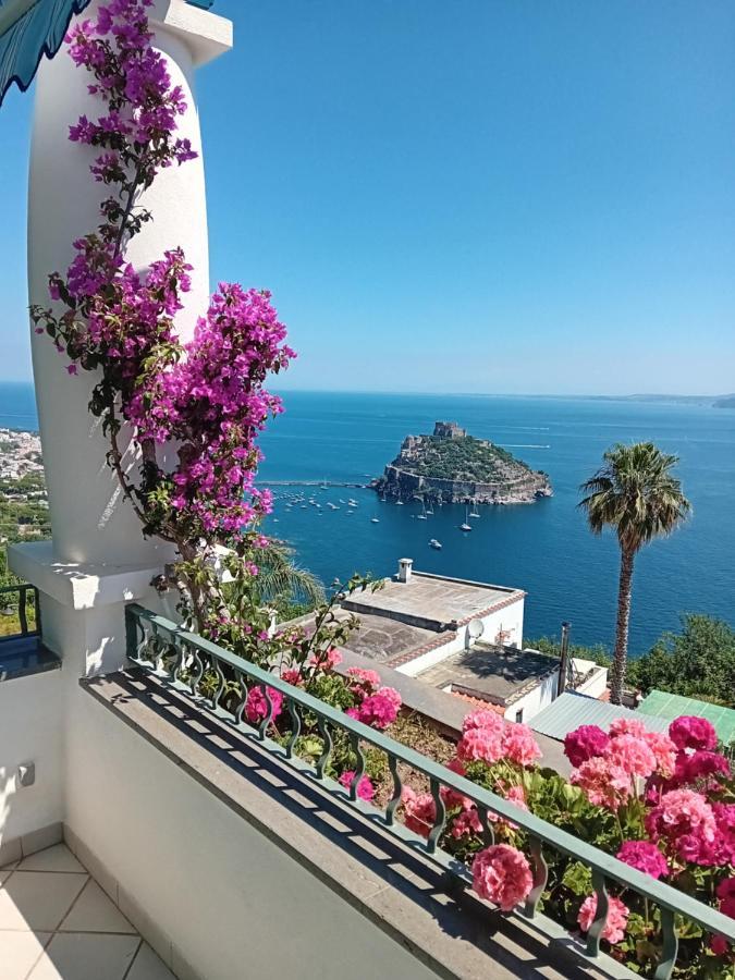 La Pergola Del Torchio Bed & Breakfast Ischia Exterior photo