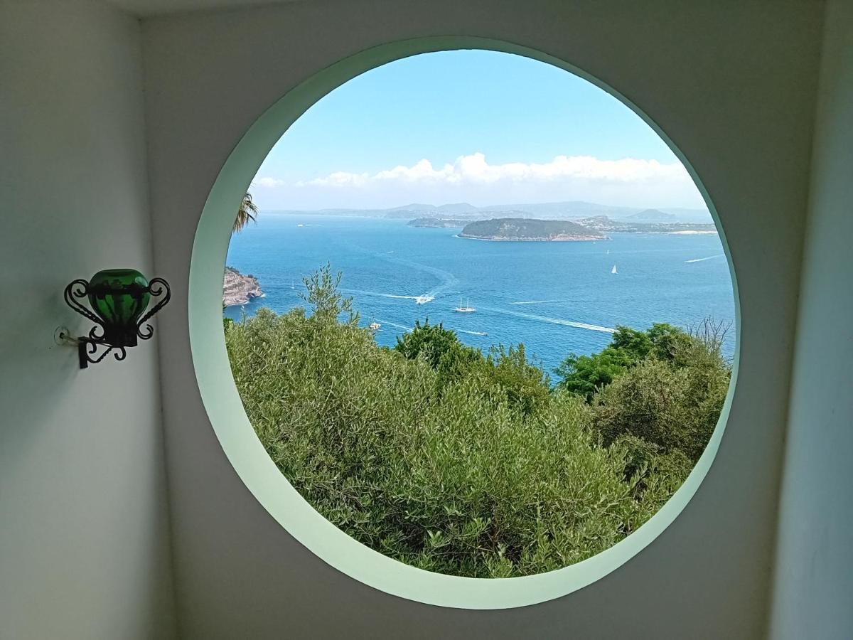 La Pergola Del Torchio Bed & Breakfast Ischia Exterior photo